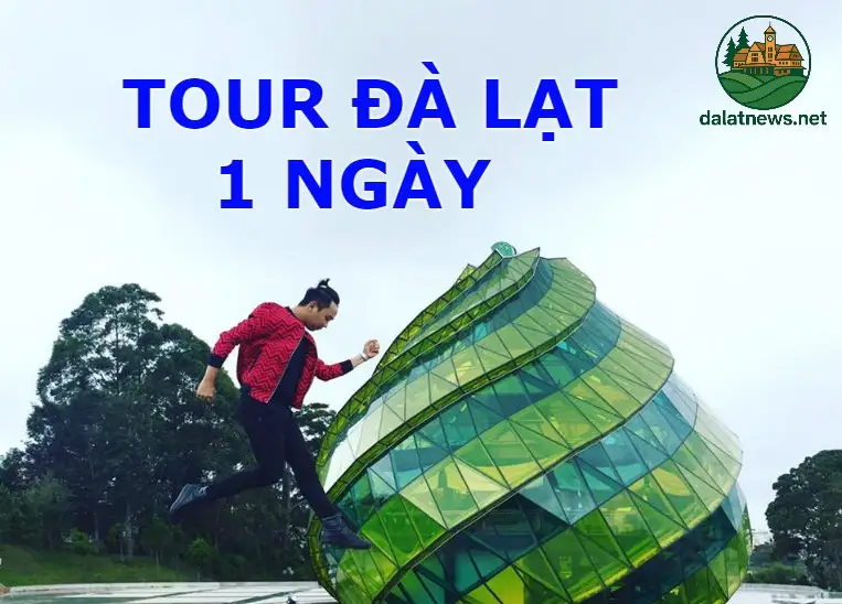 Những Điểm Đặc Biệt Của Tour Đà Lạt 1 Ngày Từ TP.HCM