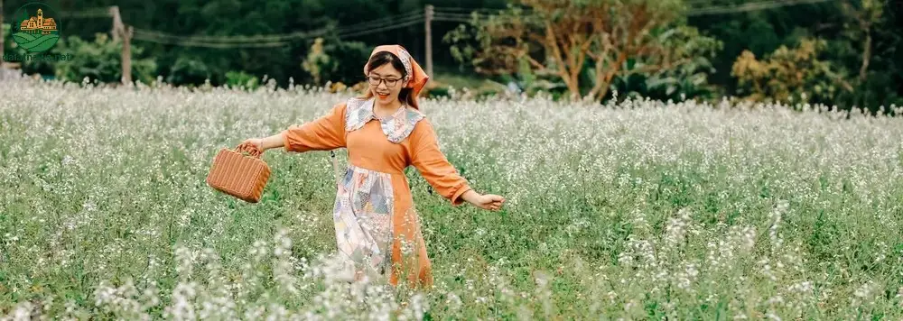 Tháng 3 - Mùa hoa anh đào nở rộ khắp các địa điểm nổi bật