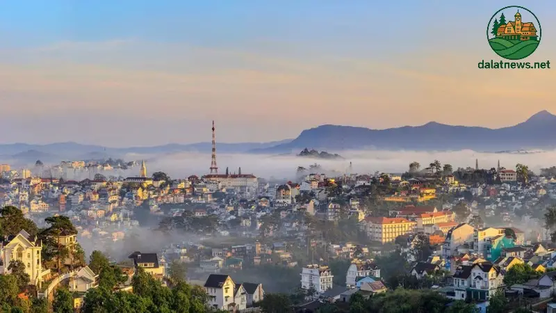Chiều Đầy Thú Vị