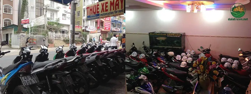 Thuê xe máy Đà Lạt – Khám Phá Xứ Sở Sương Mù Tự Do 4 Những lưu ý vàng khi Thuê xe máy Đà Lạt – Đảm bảo hành trình an toàn và suôn sẻ