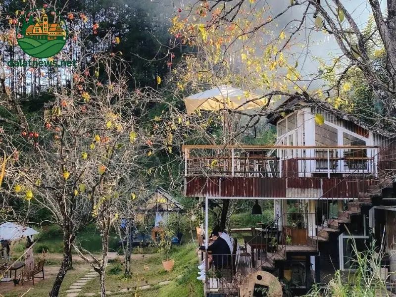 Đợi Một Người Homestay
