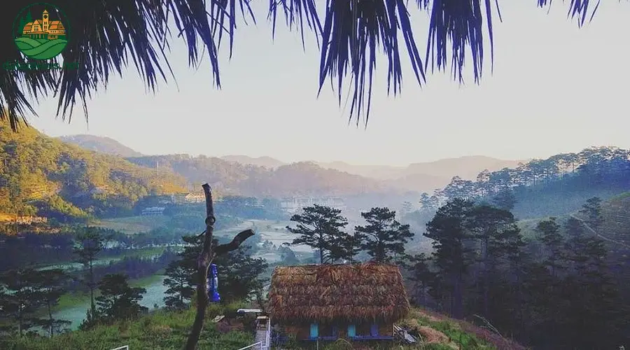 The Wildernest Hostel Hotel