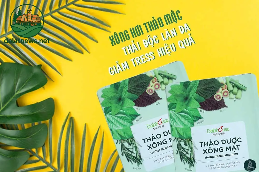 Giới thiệu các sản phẩm đặc trưng mới của Đà Lạt 4 Thảo Mộc Thanh Mát – Sản phẩm spa tự nhiên