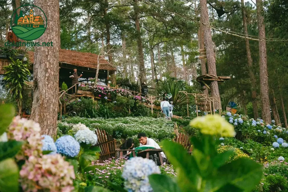 Happy Hill Đà Lạt | Địa điểm check-in Viral cực HOT của giới trẻ 1 Tổng hợp thông tin liên hệ Happy Hill Đà Lạt