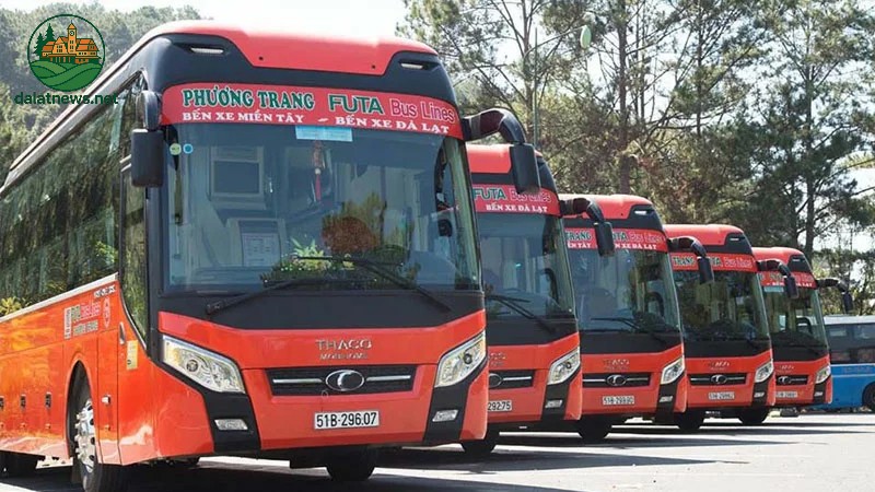 Xe Phương Trang Đà Lạt | Giá vé liền tay, đặt ngay để có những chuyến đi chất lượng 3 Tổng đài đặt vé các chi nhánh của xe Phương Trang đi Đà Lạt