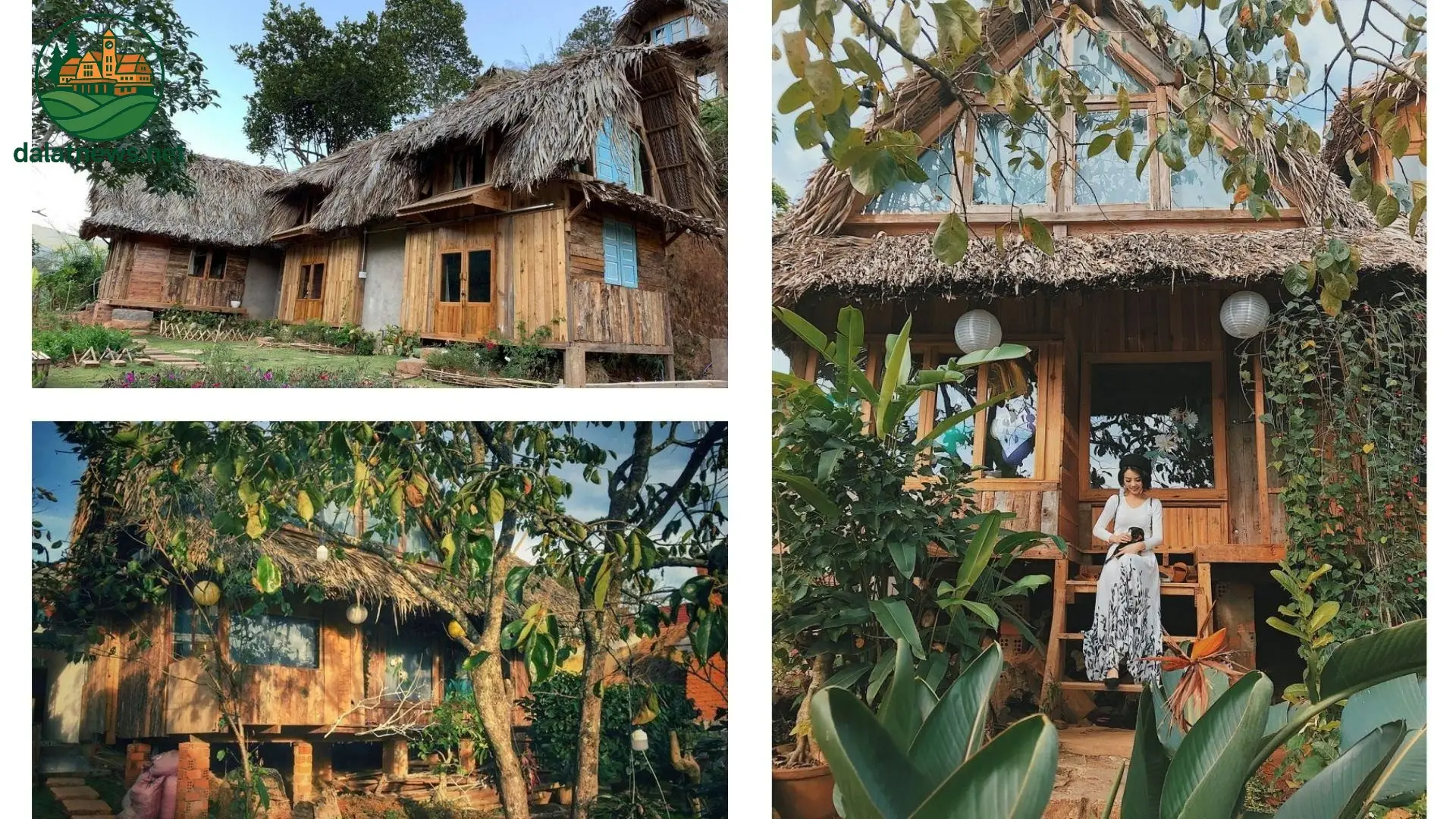 TOP 17 Villa Đà Lạt biệt thự nguyên căn Giá Rẻ Gần Trung Tâm có hồ bơi 10 Villa Nhà Gỗ 1 – View rừng thông, phù hợp nhóm 8-10 người
