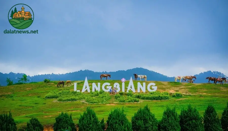 Trải nghiệm tuyến cáp treo mới lên đỉnh Lang Biang Đà Lạt 2 Các đặc điểm nổi bật của tuyến cáp treo mới lên đỉnh Lang Biang