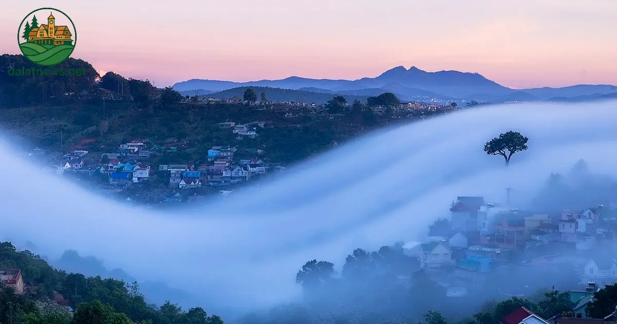 Ý nghĩa của Triển lãm nghệ thuật Sương Mù Đà Lạt