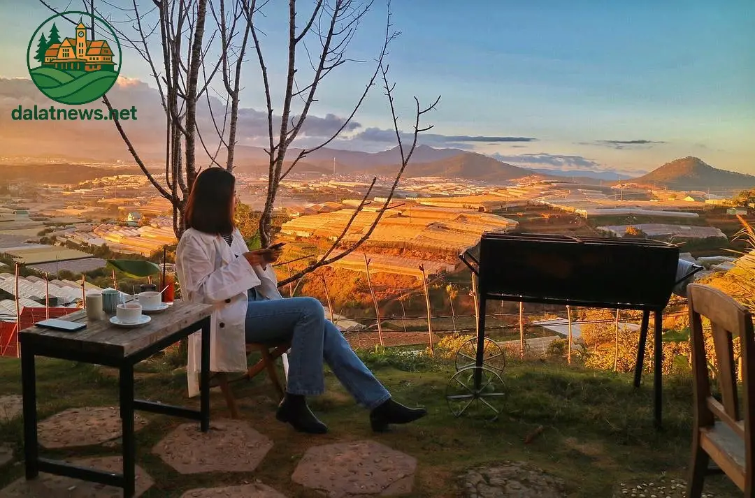 Cafe Trại Mát Đà Lạt: Nét Độc Đáo Giữa Thung Lũng Rau Xanh 4 Trải Nghiệm Độc Đáo: Hơn Cả Một Quán Cà Phê
