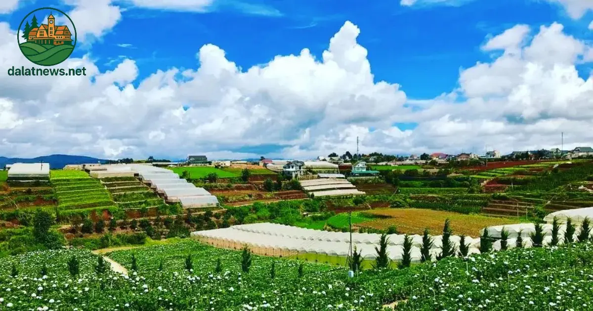 Cafe Trại Mát Đà Lạt: Nét Độc Đáo Giữa Thung Lũng Rau Xanh 2 Kiến Trúc và Thiết Kế: Hòa Mình Vào Thiên Nhiên