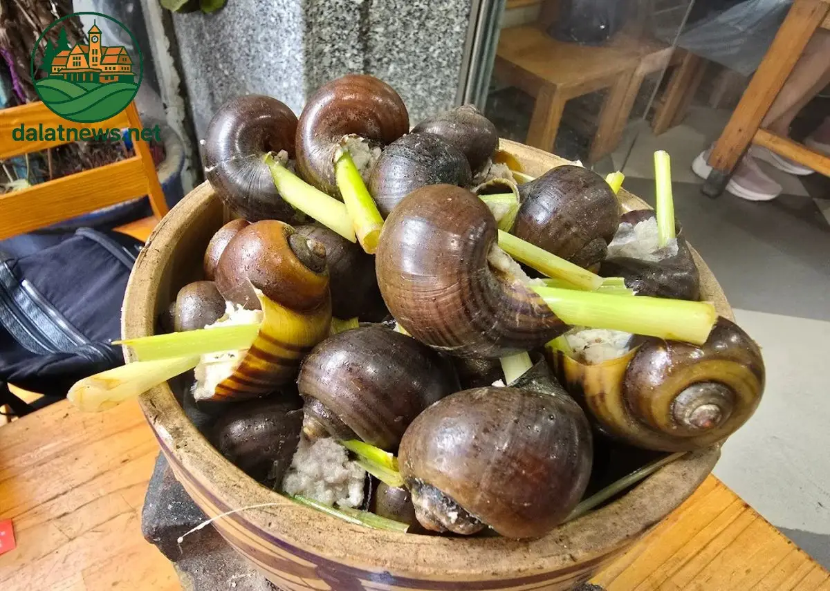oc nhoi thit da lat 68ded7e4c8332