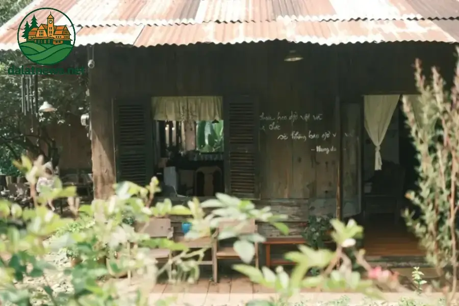 Quán chay Đà Lạt - Tận hưởng sự bình yên và thanh tịnh 1 Thong Dong