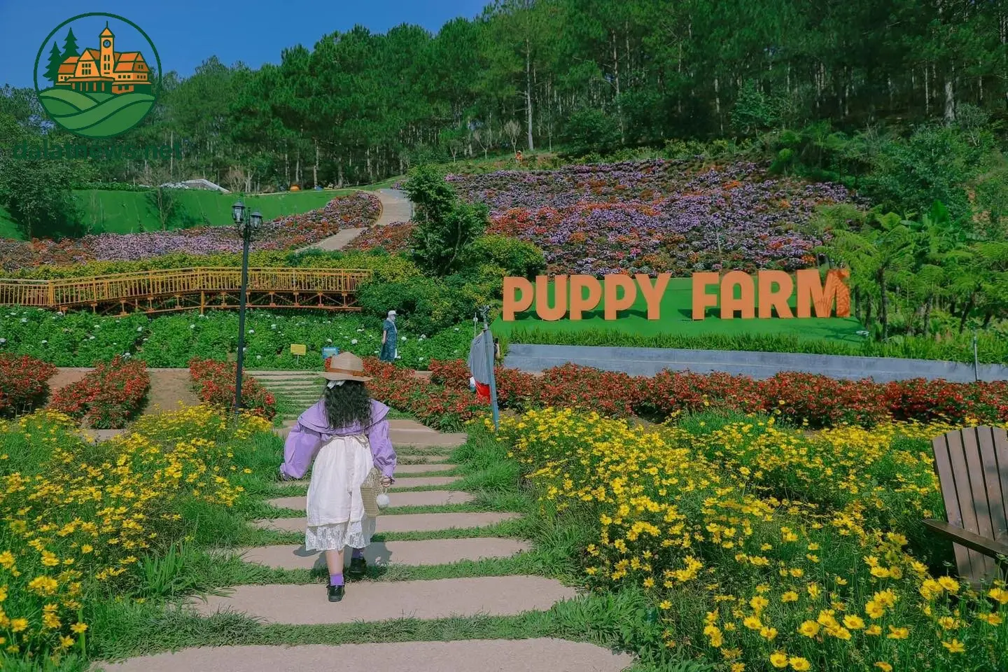 Tour tham quan trang trại cún Puppy Farm Đà Lạt