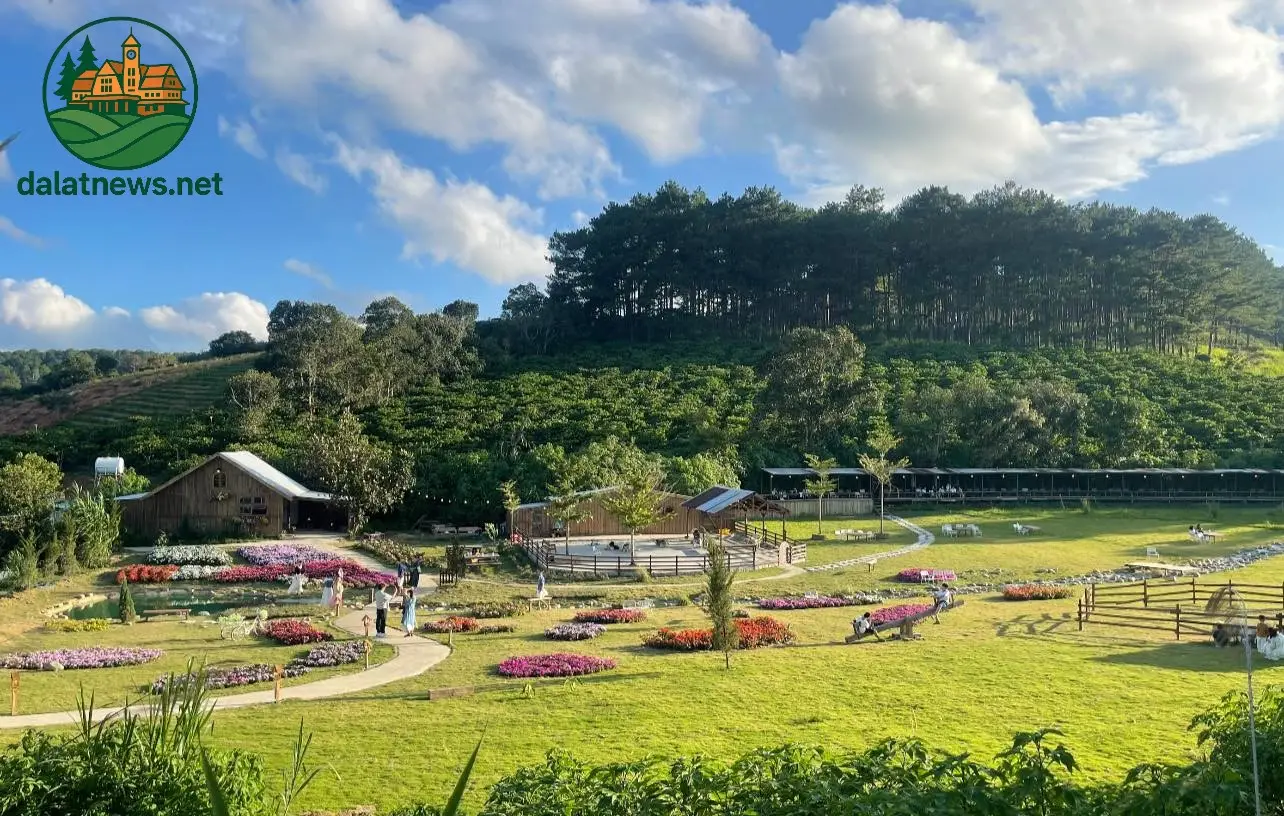 Thôn 13 – Thôn quê chính hiệu vùng ngoại ô xanh ngát Đà Lạt 5 thon 13 thon que chinh hieu vung ngoai o xanh ngat da lat 68dc1de798c78
