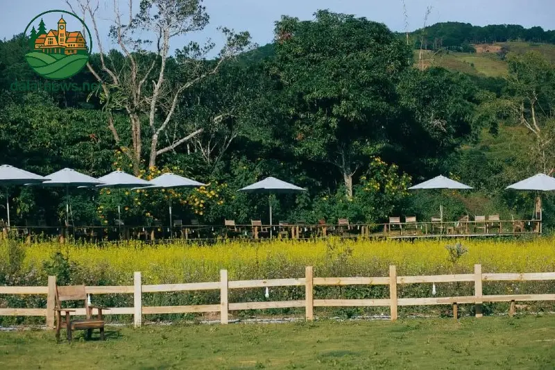 Thôn 13 – Thôn quê chính hiệu vùng ngoại ô xanh ngát Đà Lạt 4 Review Thôn 13 Đà Lạt | Điểm check-in TRIỆU VIEW