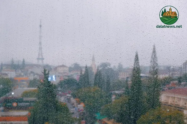 da lat mua mua la thang may 69148ee378fb4