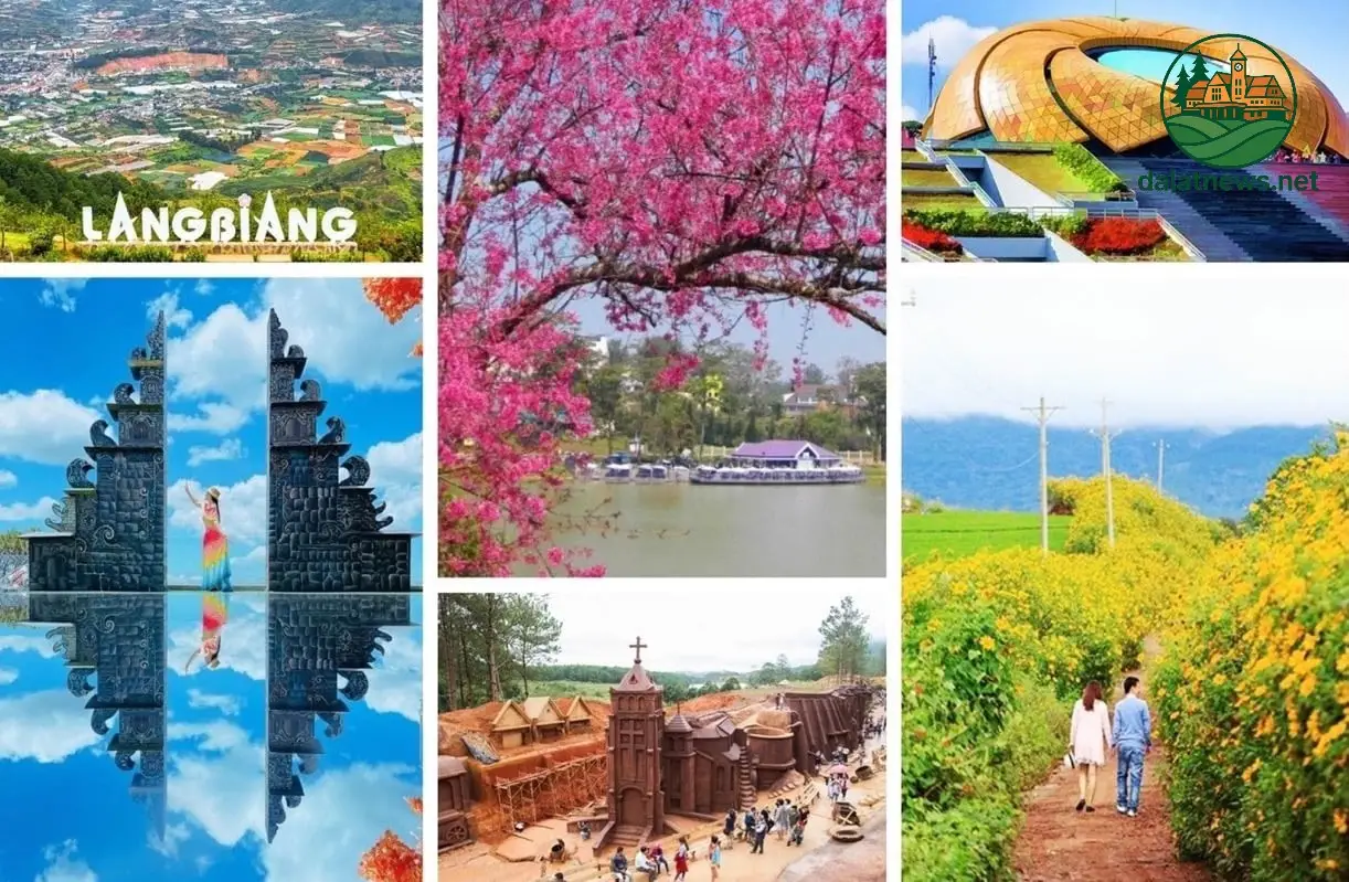 Giải Mã Sức Hút Những Địa Điểm Đang Hot Ở Đà Lạt 2 Những Địa Điểm "Hot" Tiêu Biểu và Lý Do