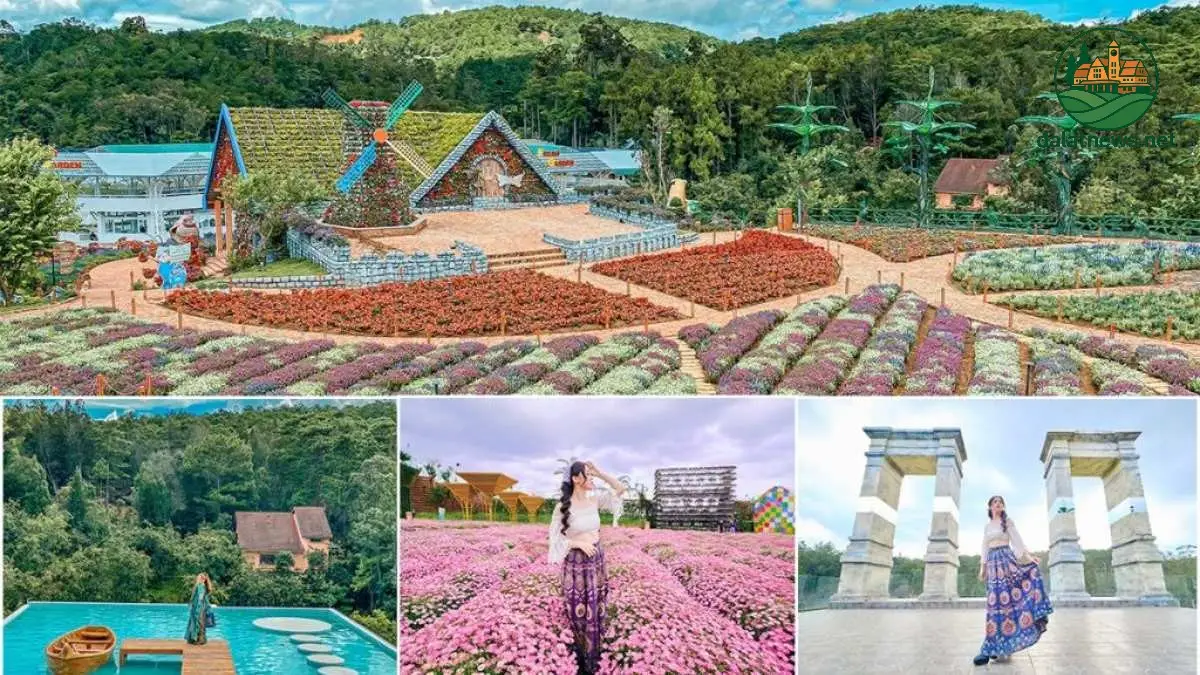 Giải Mã Sức Hút Những Địa Điểm Đang Hot Ở Đà Lạt 4 Lưu Ý Quan Trọng Khi "Săn Lùng" Địa Điểm "Hot"