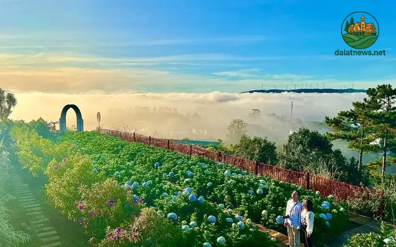 Các Trang Trại Rau và Vườn Hoa Ngoại Ô