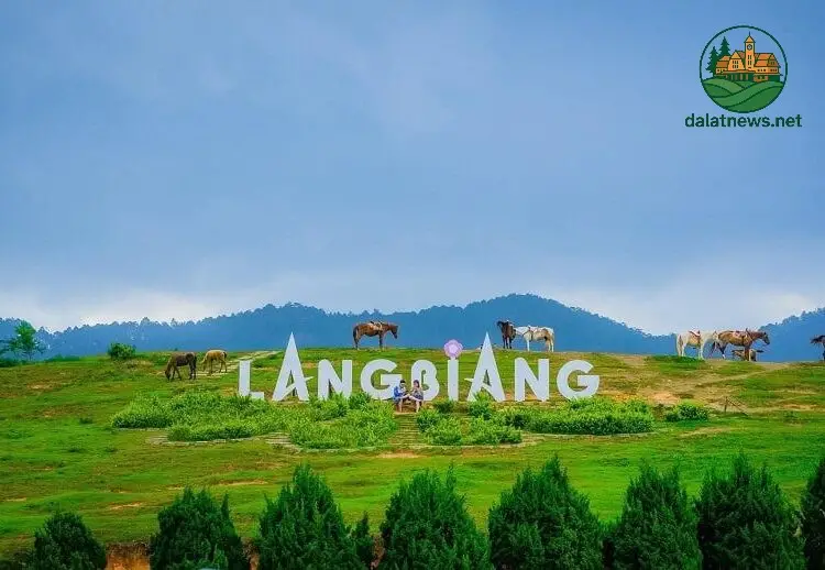 Giờ Hoạt Động Chung Của Khu Du Lịch Langbiang