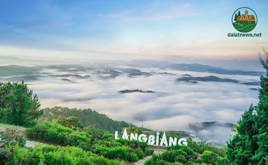 Cách Kiểm Tra Giờ Đóng Cửa Chính Xác Nhất