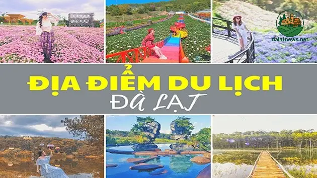 Giải Mã Sức Hút Những Địa Điểm Đang Hot Ở Đà Lạt 3 Các Farmstay và Vườn Hoa