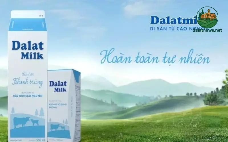 Sữa Thanh Trùng Đà Lạt Milk Có Tốt Không? 3 Nhược Điểm Cần Cân Nhắc