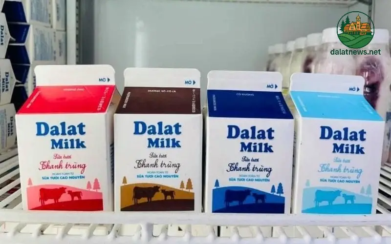 Sữa Thanh Trùng Đà Lạt Milk Có Tốt Không? 1 Ưu Điểm Của Sữa Thanh Trùng Đà Lạt Milk