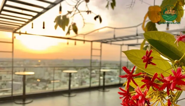 Iris Coffee - Góc Nhìn Lãng Mạn Từ Trên Cao