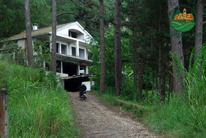 Biệt Thự Đường Trần Hưng Đạo