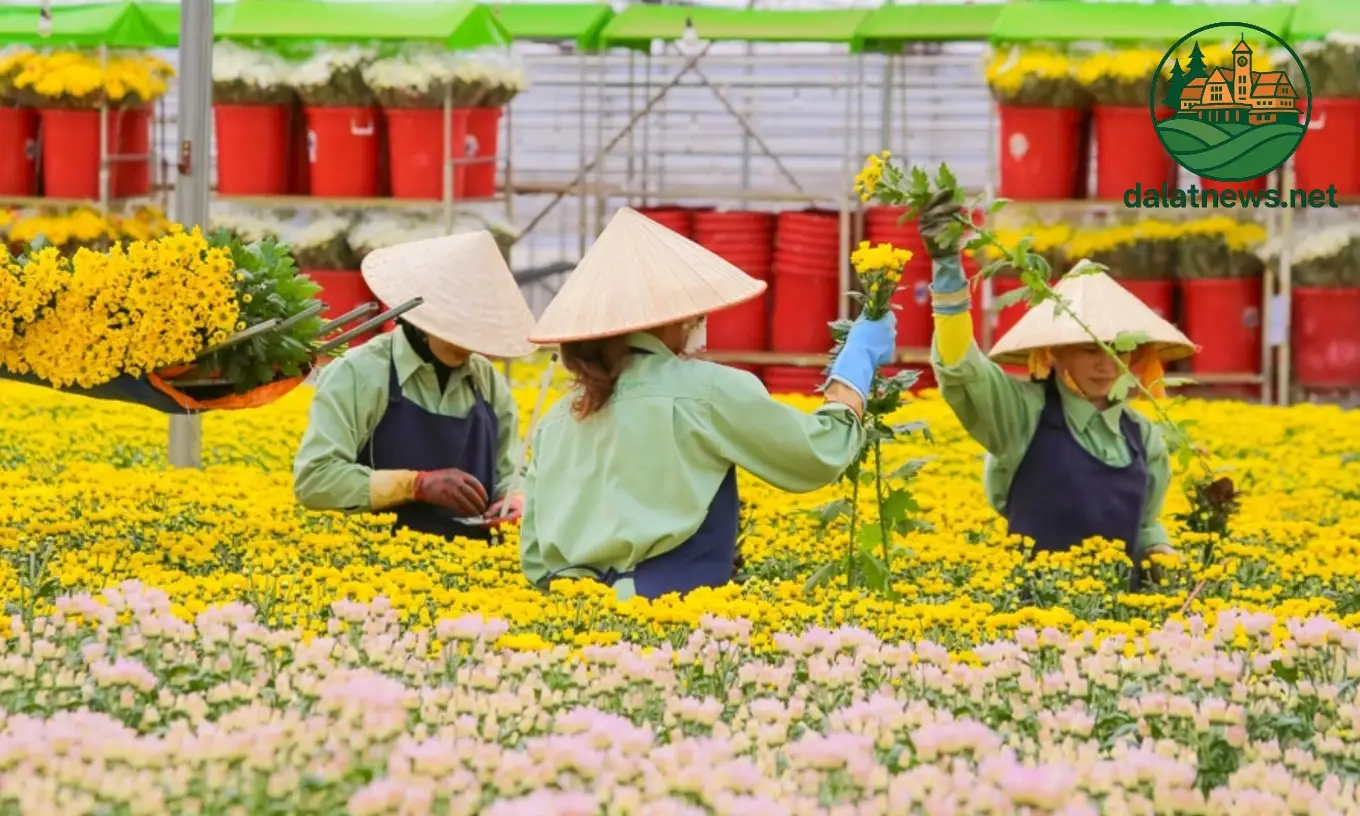 Hệ thống tưới tiêu và dinh dưỡng tự động Hệ thống tưới tiêu và dinh dưỡng tự động