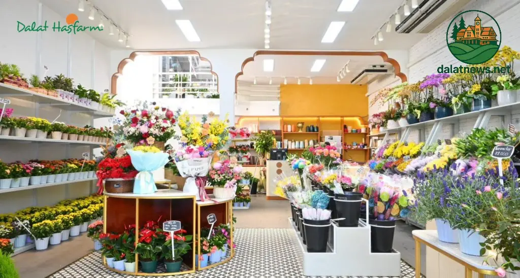 Sản phẩm và dịch vụ Sản phẩm và dịch vụ