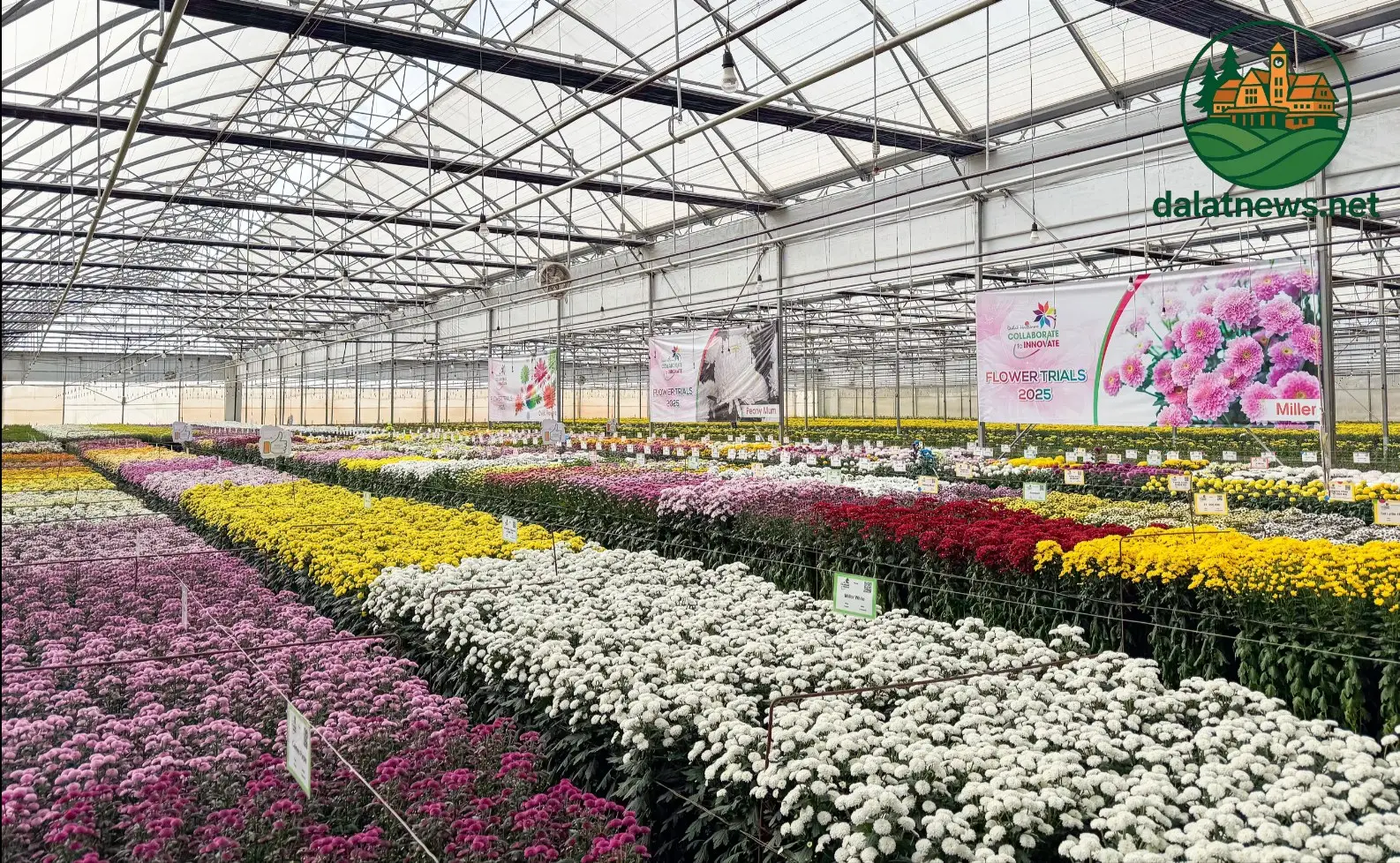 Ứng dụng công nghệ cao trong sản xuất Ứng dụng công nghệ cao trong sản xuất