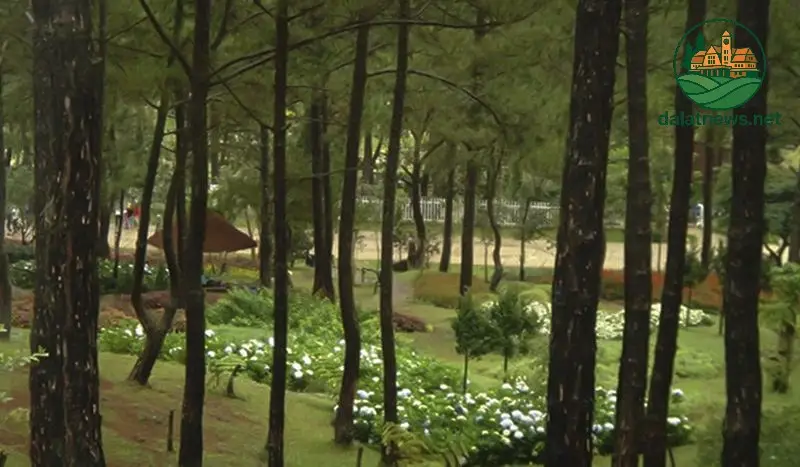 Trường Cao Đẳng Sư Phạm Đà Lạt Trường Cao Đẳng Sư Phạm Đà Lạt