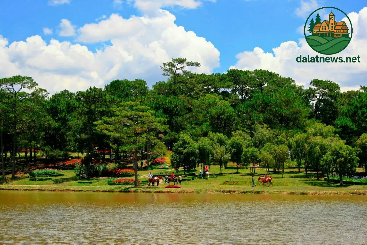 Vị Trí và Cách Di Chuyển Đến Đồi Thông Hai Mộ Vị Trí và Cách Di Chuyển Đến Đồi Thông Hai Mộ