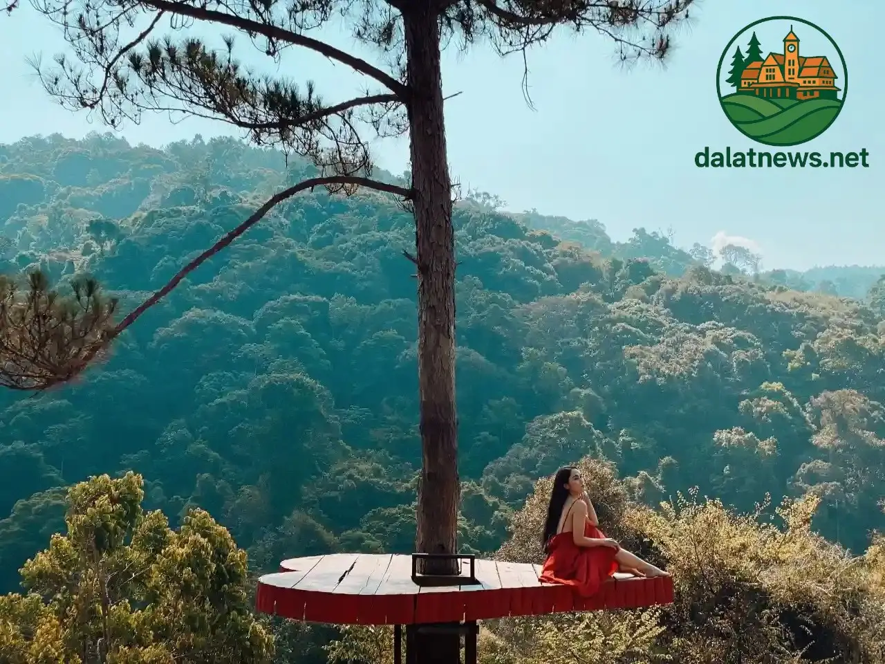 Cây Thông Cô Đơn