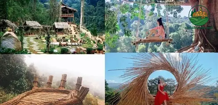 Các Hoạt Động và Trải Nghiệm Thú Vị Tại Hoa Sơn Điền Trang