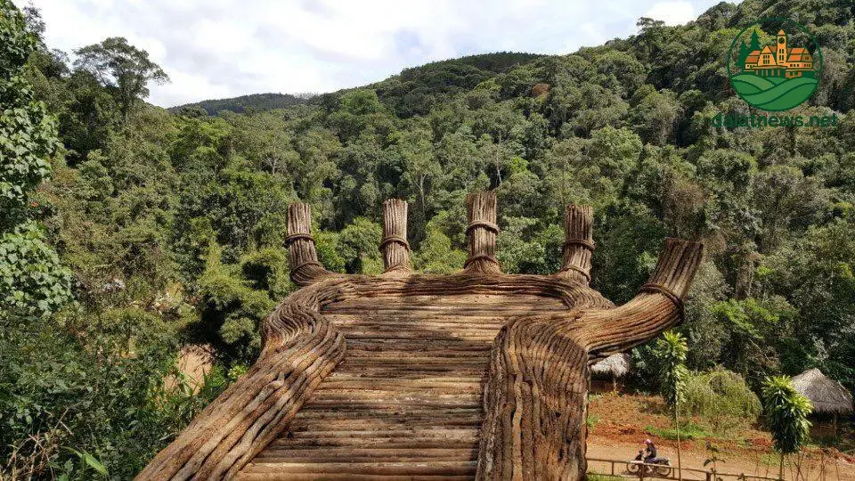 hoa son dien trang da lat chiang mai thu nho 693e662e0ac5e