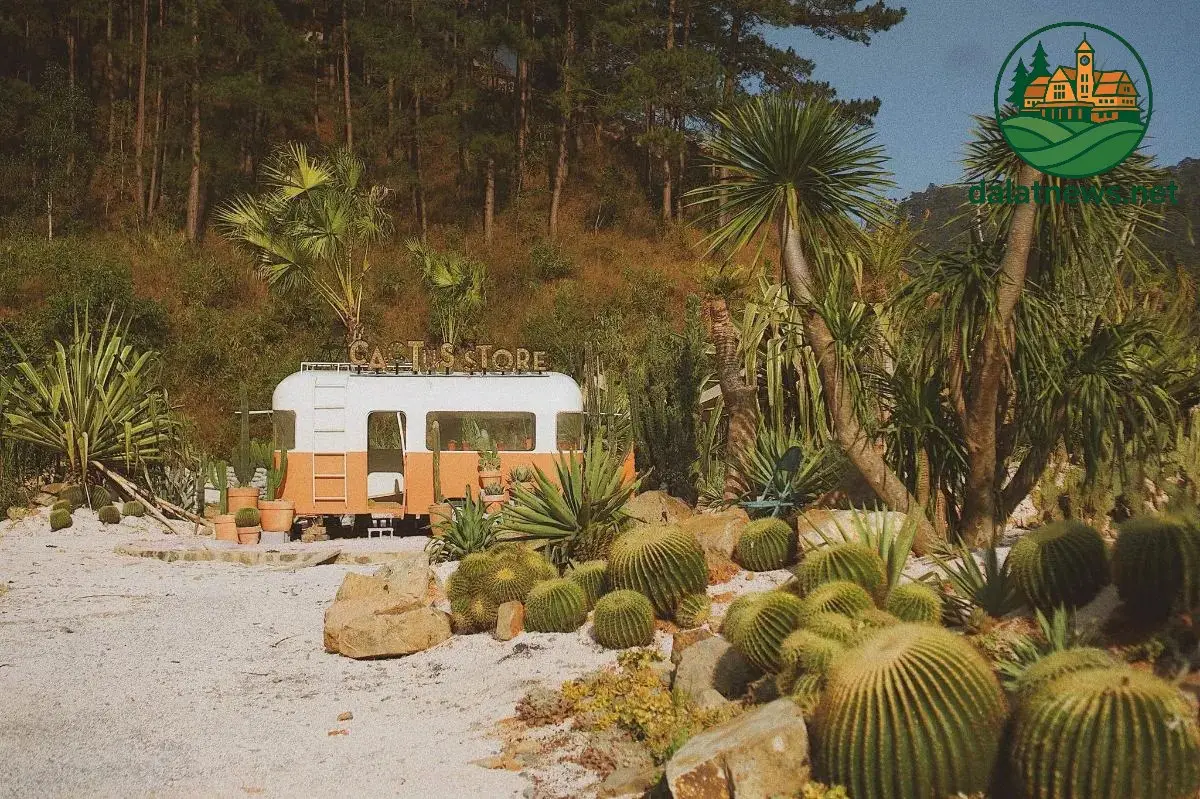 kombi land da lat 694037446b0c7