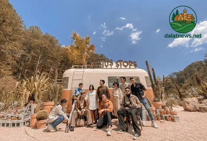 Kombi Land Đà Lạt Ốc Đảo Xương Rồng Giữa Lòng Thành Phố 1 kombi land da lat oc dao xuong rong giua long thanh pho 69403746725c4