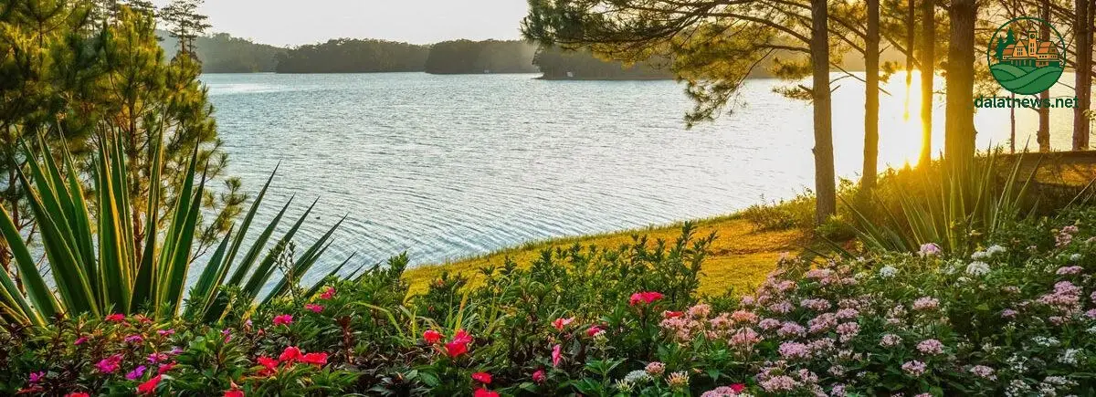 Ẩm Thực Đa Dạng và Dịch Vụ Chu Đáo Ẩm Thực Đa Dạng và Dịch Vụ Chu Đáo