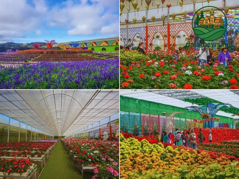 Ẩm Thực Quanh Làng Hoa Vạn Thành Ẩm Thực Quanh Làng Hoa Vạn Thành