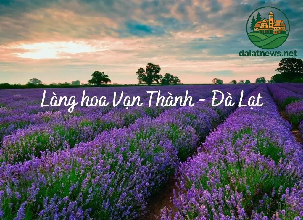 Khám Phá Vẻ Đẹp Của Làng Hoa Vạn Thành Khám Phá Vẻ Đẹp Của Làng Hoa Vạn Thành