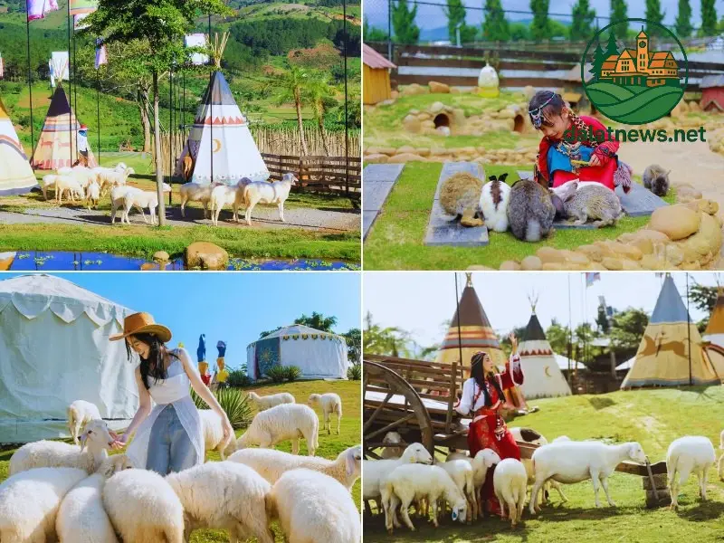 Những Trải Nghiệm Không Thể Bỏ Lỡ Tại Mongo Land Đà Lạt Những Trải Nghiệm Không Thể Bỏ Lỡ Tại Mongo Land Đà Lạt