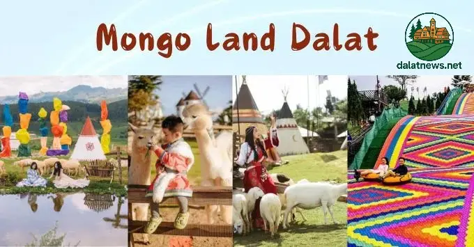 Giá Vé và Thời Gian Hoạt Động Tại Mongo Land Đà Lạt Giá Vé và Thời Gian Hoạt Động Tại Mongo Land Đà Lạt