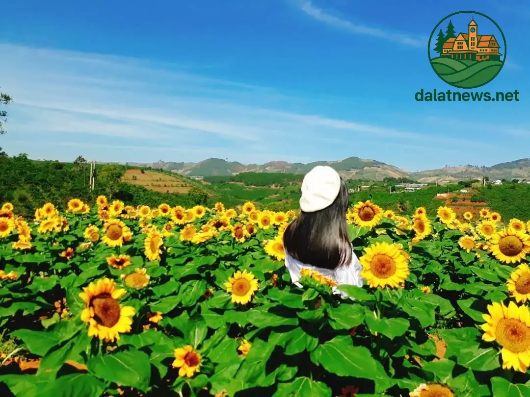 Những Địa Điểm Du Lịch Gần Sunny Farm Những Địa Điểm Du Lịch Gần Sunny Farm