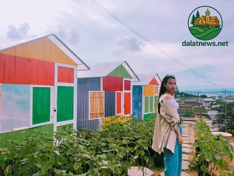 Dãy Nhà Cầu Vồng – Bức Tranh Sắc Màu Rực Rỡ Dãy Nhà Cầu Vồng – Bức Tranh Sắc Màu Rực Rỡ