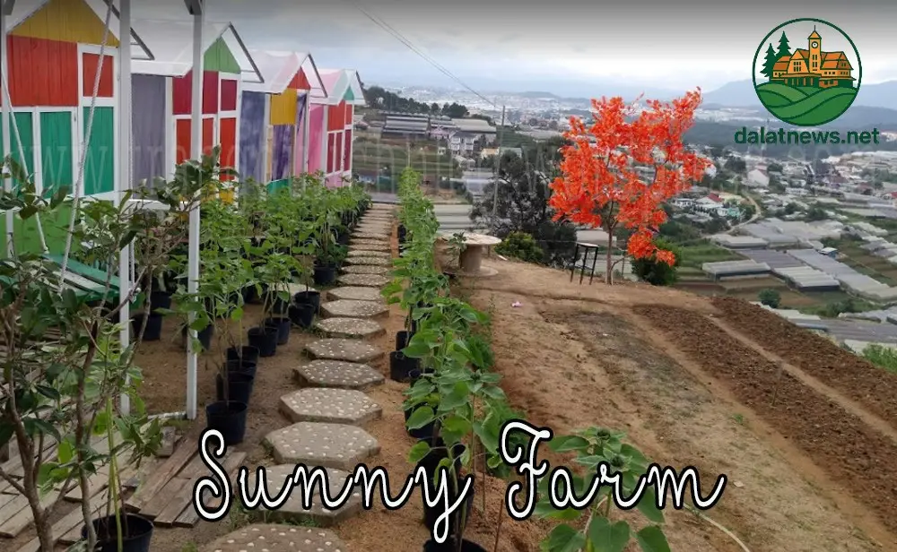 Vườn Dâu Tây – Trải Nghiệm Hái Quả Tươi Tại Vườn Vườn Dâu Tây – Trải Nghiệm Hái Quả Tươi Tại Vườn