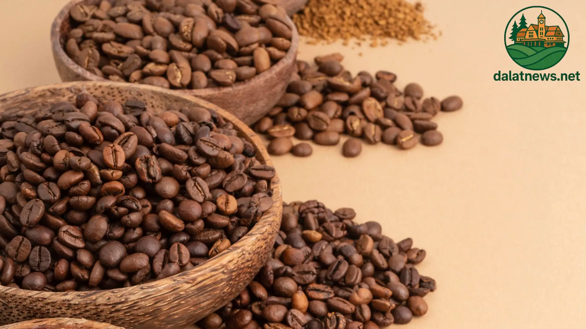 ca phe arabica va robusta da lat 69666525779e2