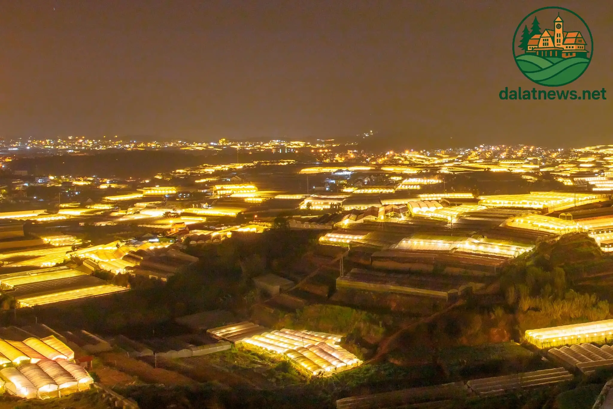 Gợi ý lịch trình khám phá 'Thung lũng đèn Đà Lạt'